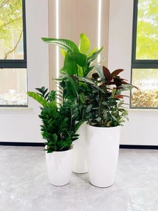 海曙绿植出租设计