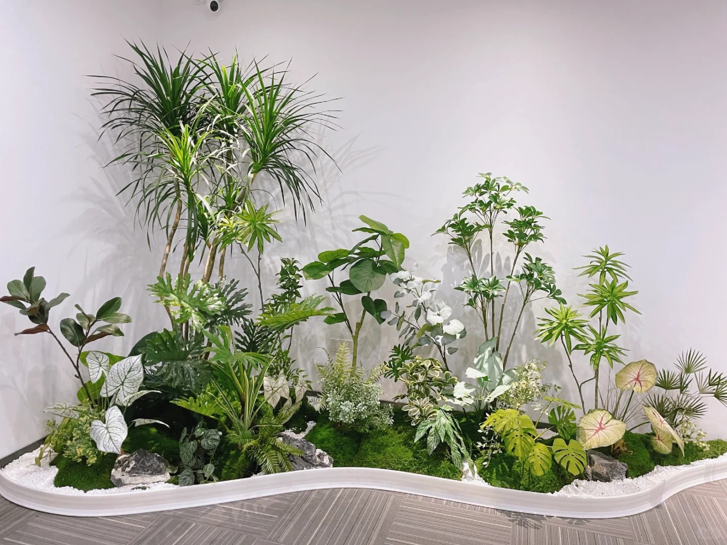 鄞州植物租赁服务好